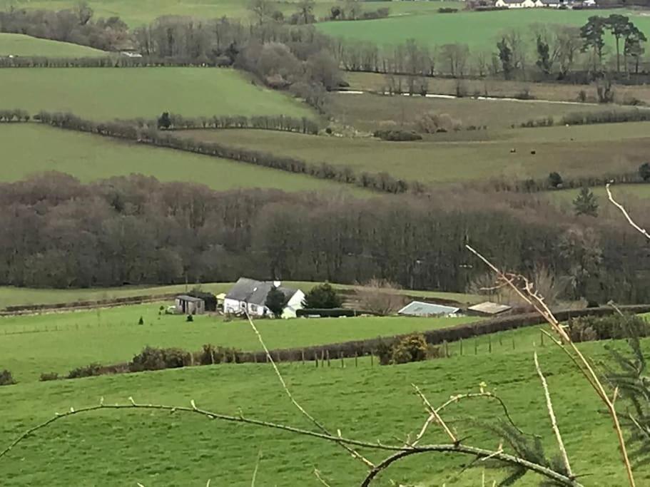 Stunning Shepherds Hut Rural Bliss Ντάμφρις Εξωτερικό φωτογραφία